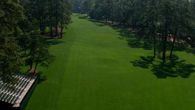 Hole 14: Chinese Fir